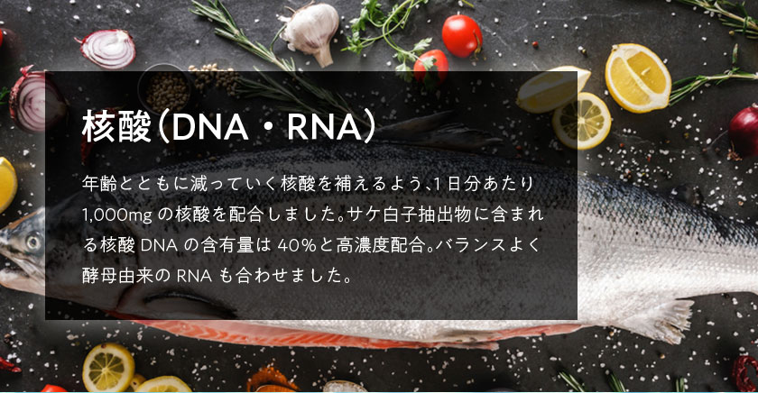 核酸（DNA・RNA）年齢とともに体内から減っていく核酸を、しっかり摂れるように1日分あたり1,000mg配合。DNAが豊富に含まれるといわれる鮭の白子から抽出し、バランスよく酵母由来のRNAを合わせました。